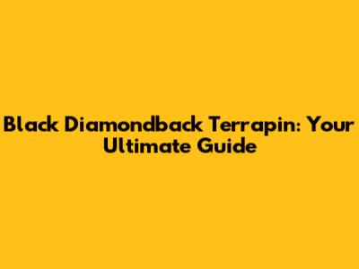 Black Diamondback Terrapin: Your Ultimate Guide