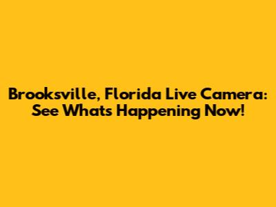 Brooksville, Florida Live Camera: See What's Happening Now!
