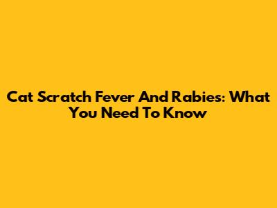 Cat Scratch Fever And Rabies: What You Need To Know