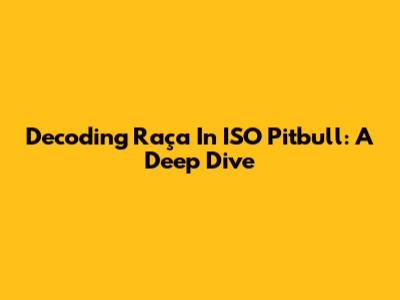 Decoding 'Raça' In ISO Pitbull: A Deep Dive