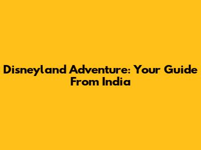 Disneyland Adventure: Your Guide From India