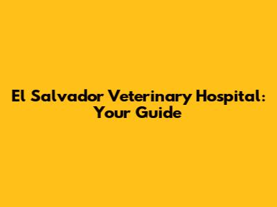 El Salvador Veterinary Hospital: Your Guide