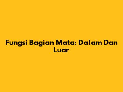 Fungsi Bagian Mata: Dalam Dan Luar