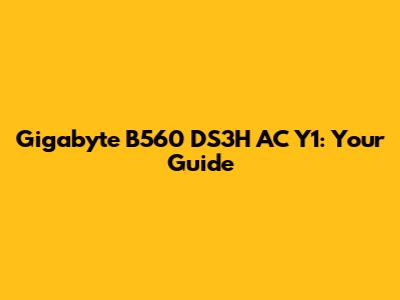 Gigabyte B560 DS3H AC Y1: Your Guide