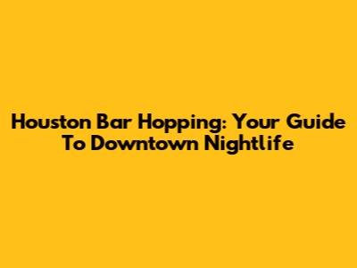 Houston Bar Hopping: Your Guide To Downtown Nightlife