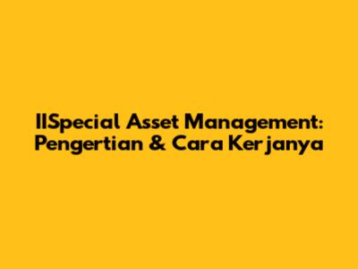 IISpecial Asset Management: Pengertian & Cara Kerjanya
