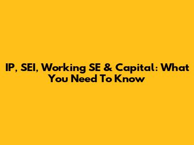 IP, SEI, Working SE & Capital: What You Need To Know