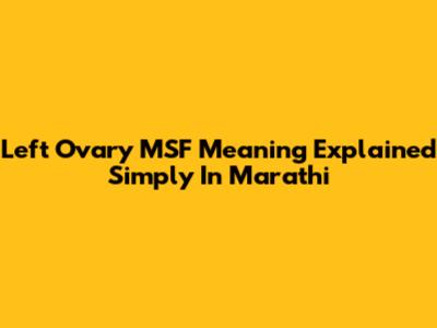Left Ovary MSF Meaning Explained Simply In Marathi