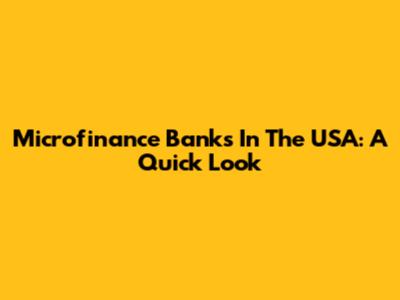 Microfinance Banks In The USA: A Quick Look