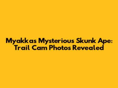 Myakka's Mysterious Skunk Ape: Trail Cam Photos Revealed