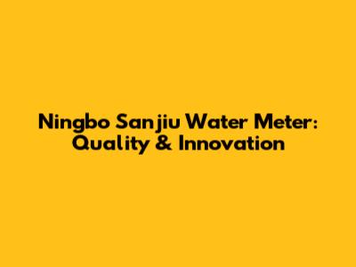 Ningbo Sanjiu Water Meter: Quality & Innovation