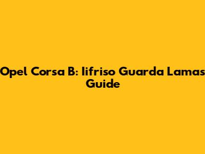 Opel Corsa B: Iifriso Guarda Lamas Guide