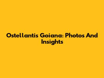Ostellantis Goiana: Photos And Insights