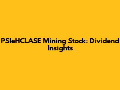 PSIeHCLASE Mining Stock: Dividend Insights