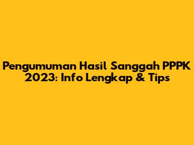 Pengumuman Hasil Sanggah PPPK 2023: Info Lengkap & Tips