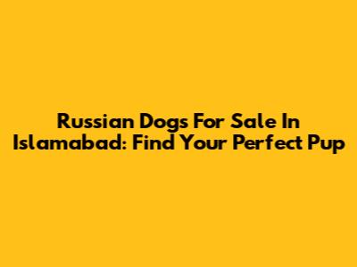 Russian Dogs For Sale In Islamabad: Find Your Perfect Pup