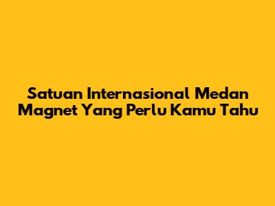 Satuan Internasional Medan Magnet Yang Perlu Kamu Tahu