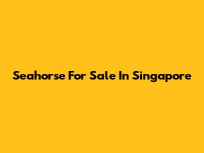 Seahorse For Sale In Singapore
