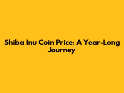 Shiba Inu Coin Price: A Year-Long Journey