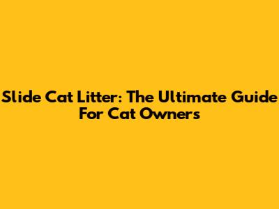 Slide Cat Litter: The Ultimate Guide For Cat Owners