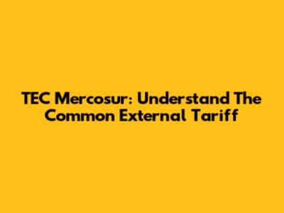 TEC Mercosur: Understand The Common External Tariff