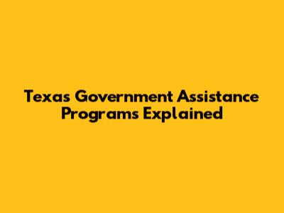 Texas Government Assistance Programs Explained