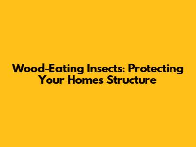 Wood-Eating Insects: Protecting Your Home's Structure